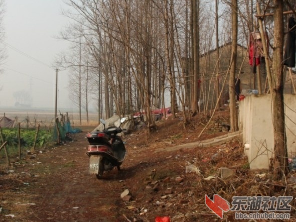 QQ图片20140207220318.jpg