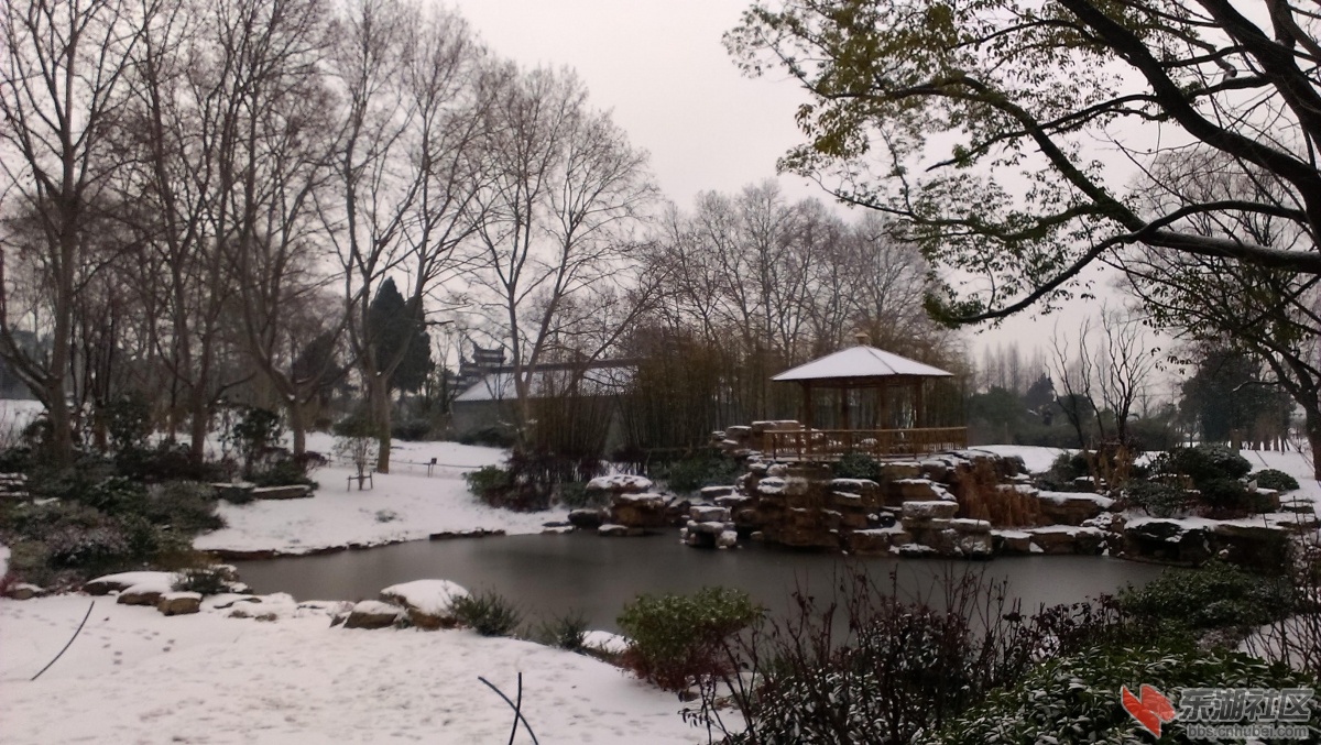 IMAG0503.JPG