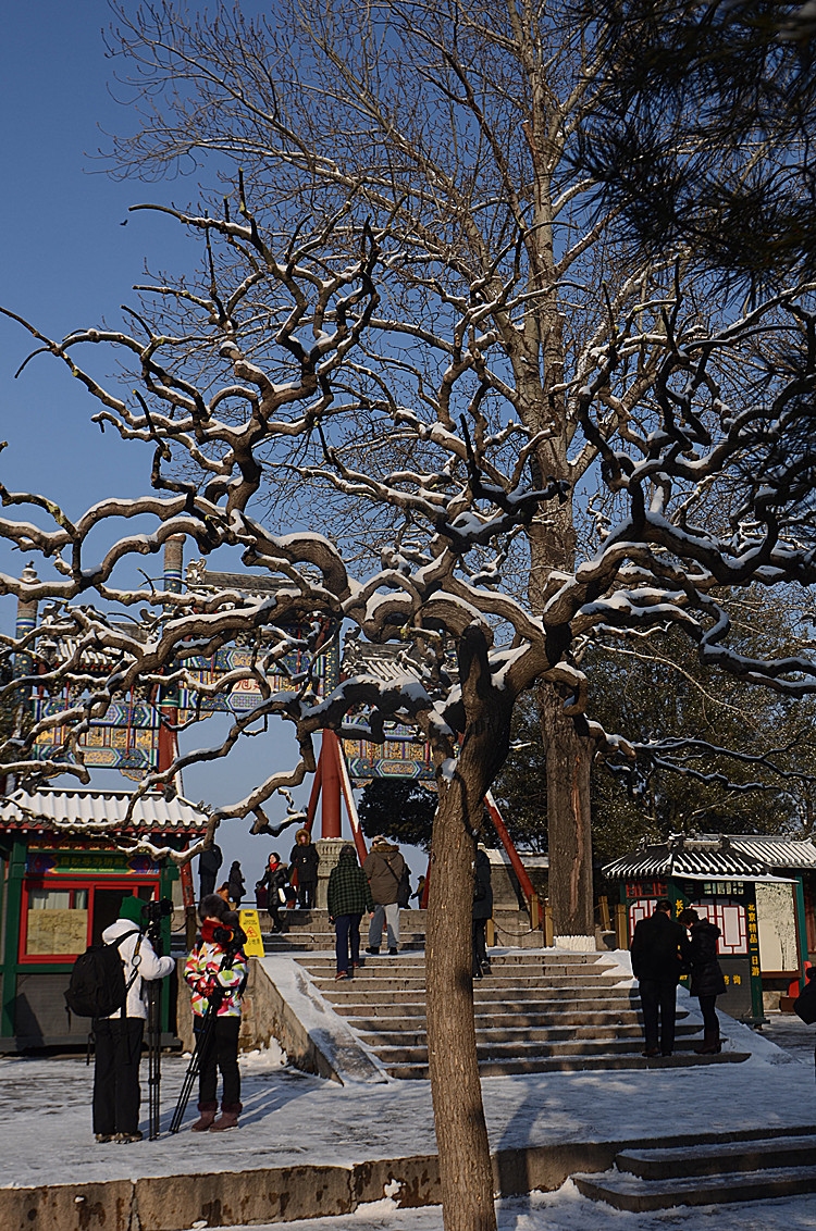 DSC_6040_副本.jpg