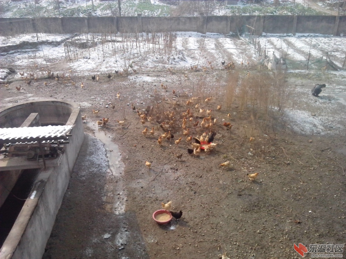IMG_20140210_105350.jpg