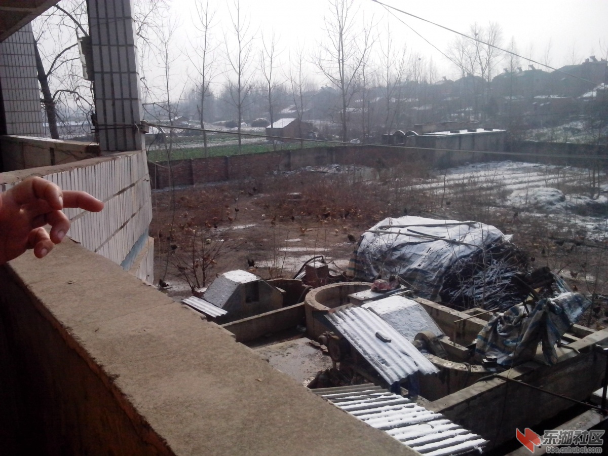 IMG_20140210_105406.jpg