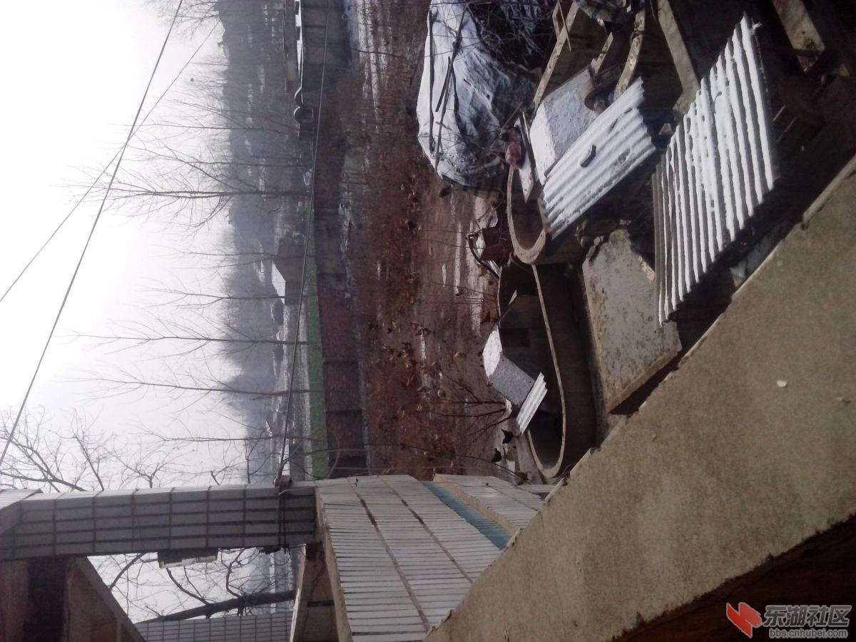 IMG_20140210_105431.jpg