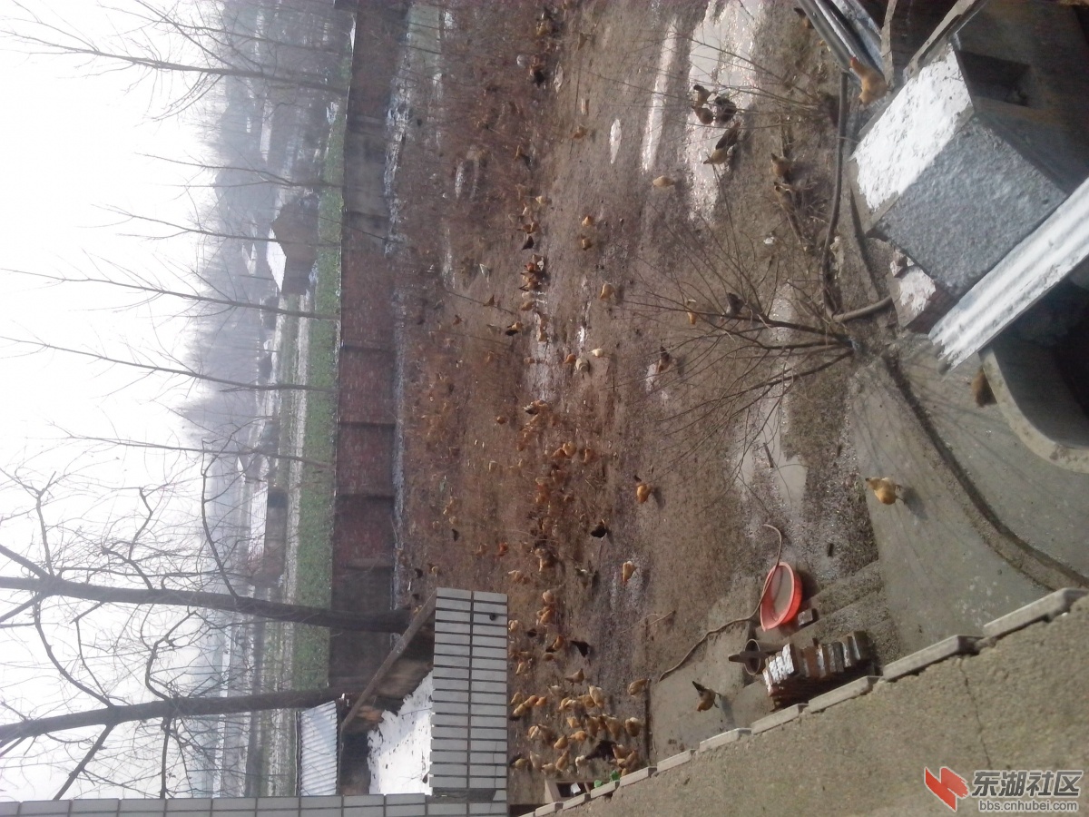 IMG_20140210_105502.jpg