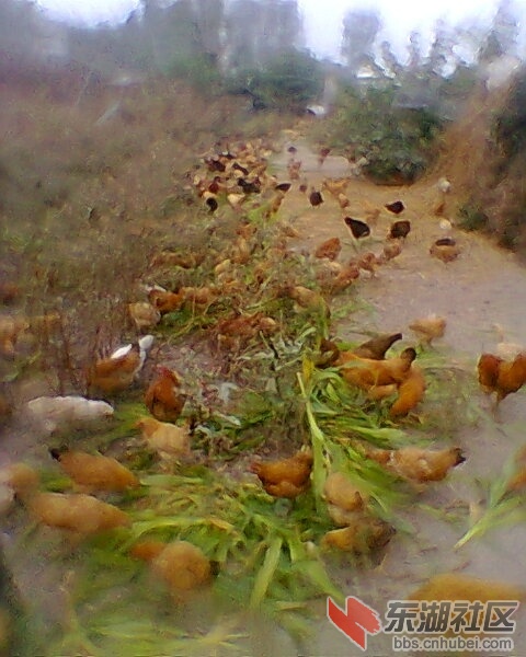照片0123.jpg