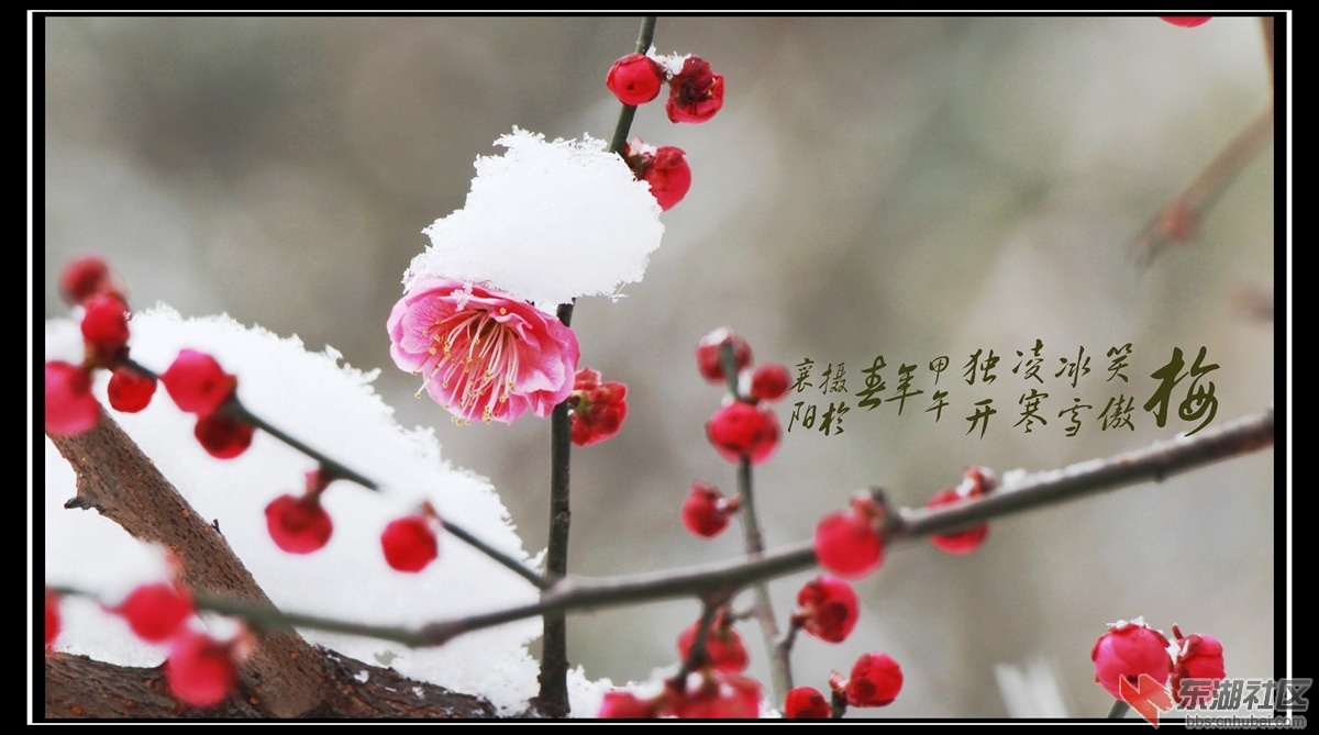 IMG_1986_副本.jpg