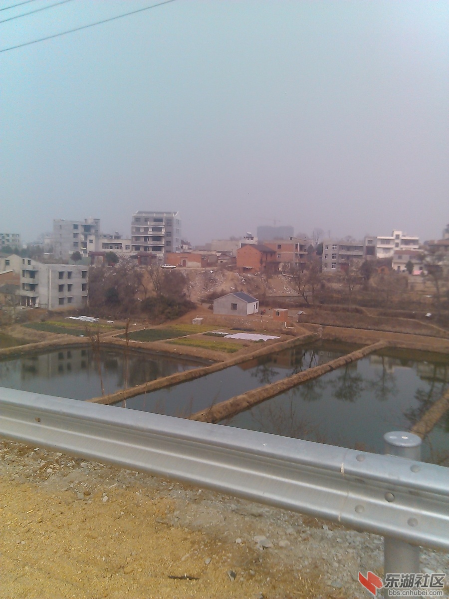 IMG_20140117_143759.jpg