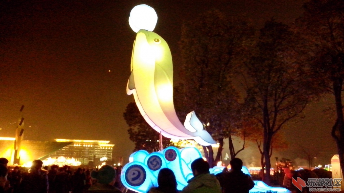 IMG_20140214_205046.jpg