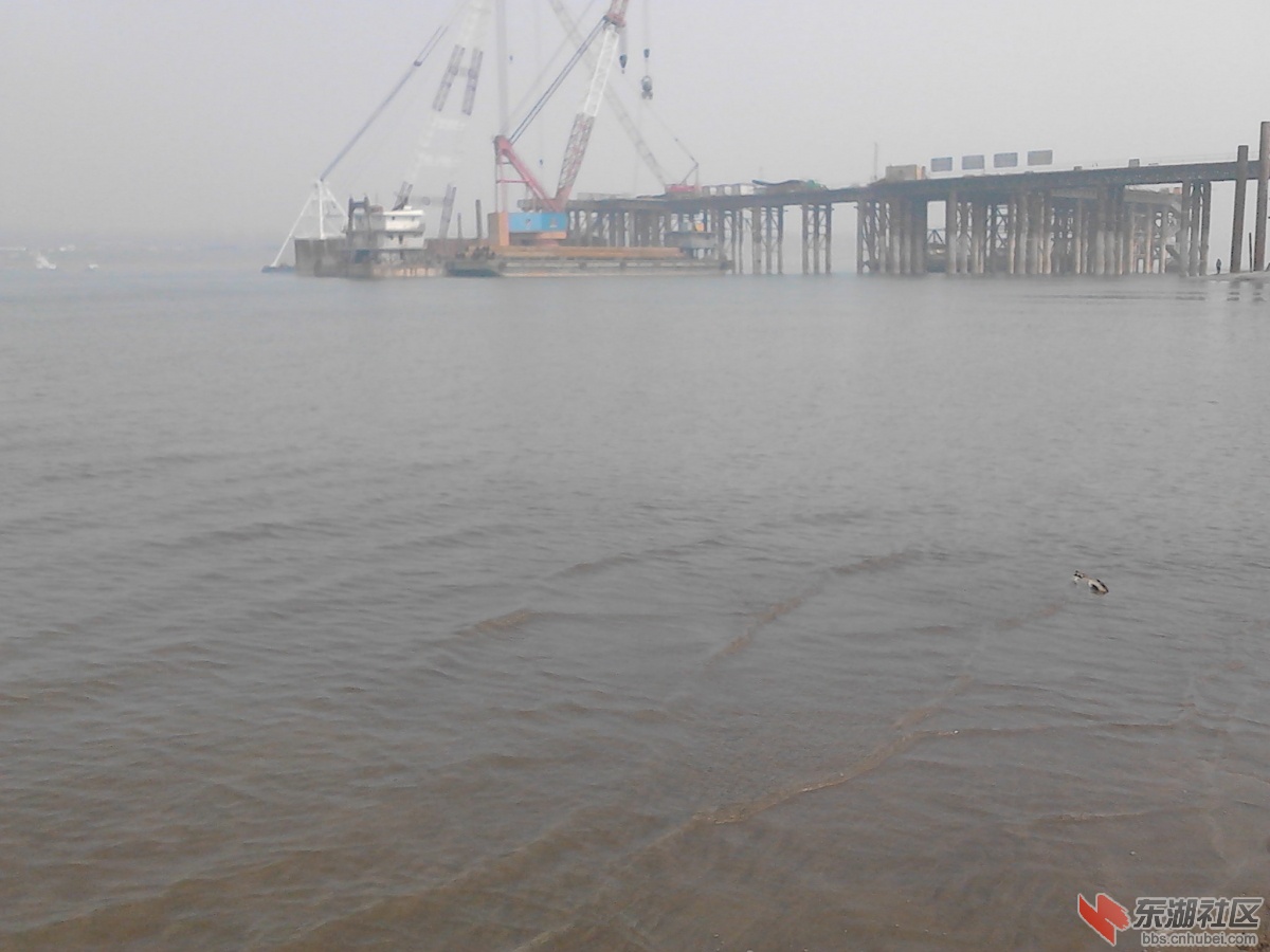 IMG_20140202_125151.jpg