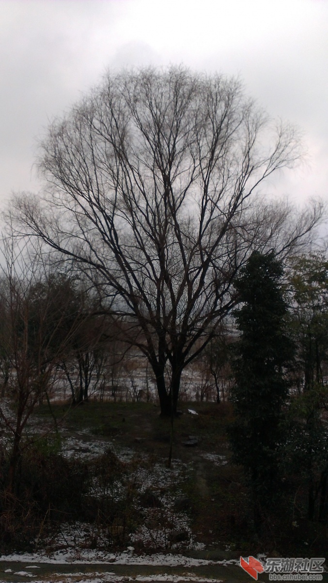 IMAG0805.JPG