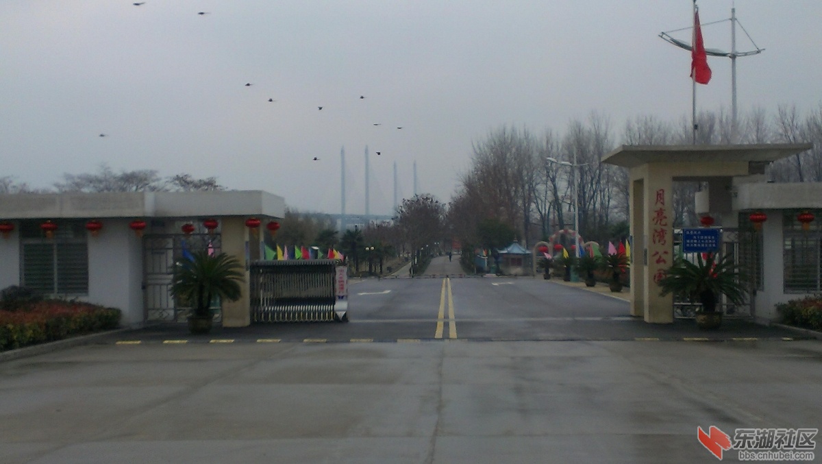 IMAG0848.JPG
