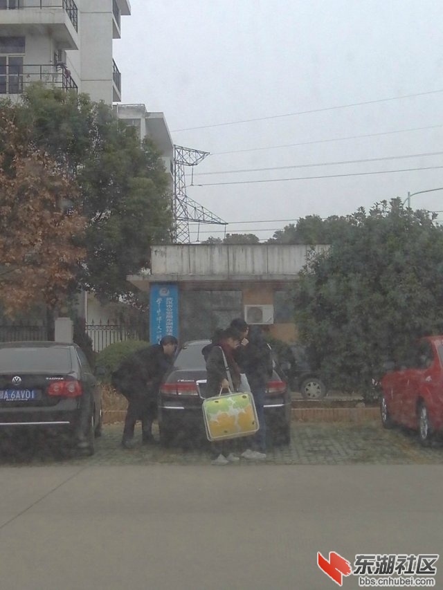204913k7plx789pj8v87vl.jpg