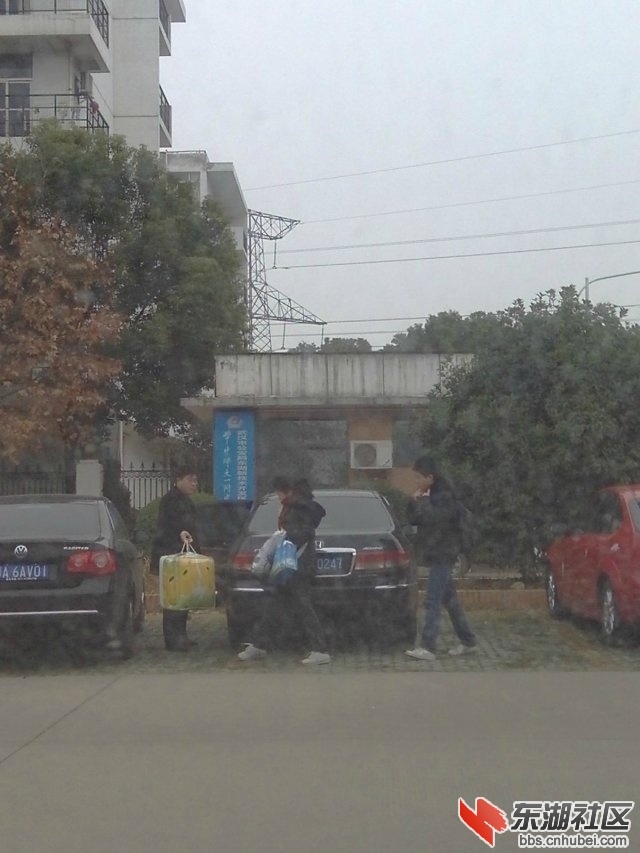 105155f9vig133375f37zb.jpg