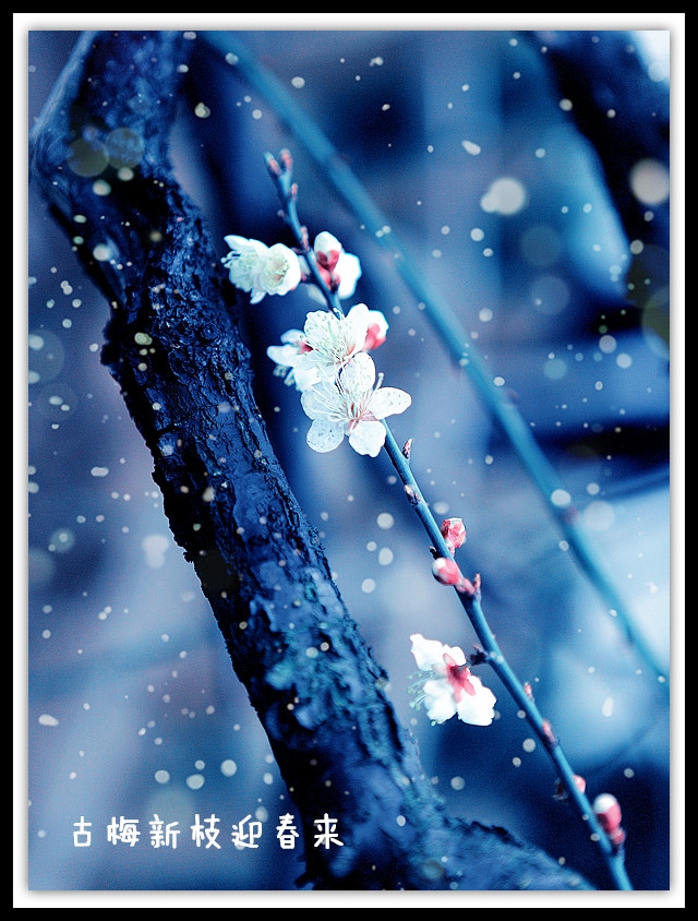 IMG_2609_副本800A.jpg