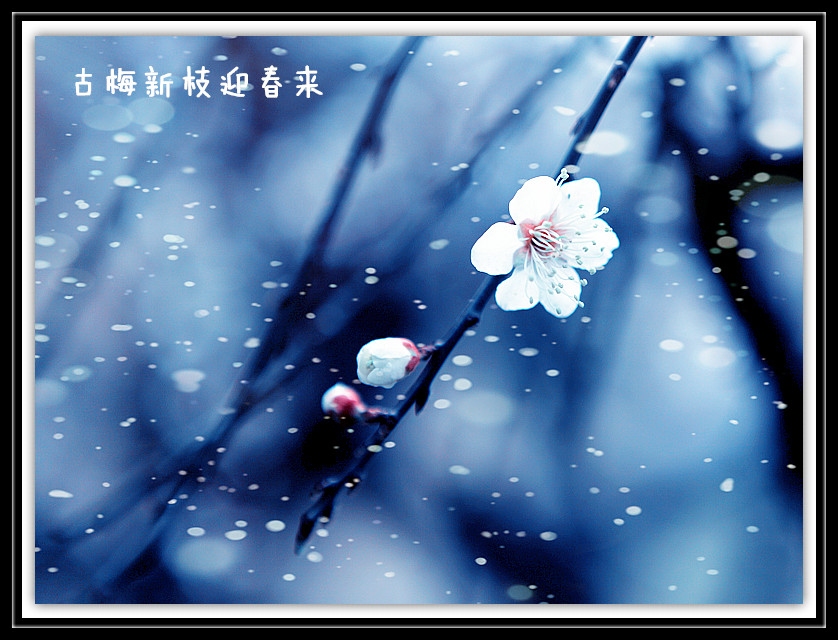 IMG_2612_副本800A.jpg
