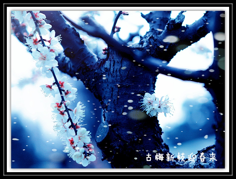IMG_2620_副本800A.jpg