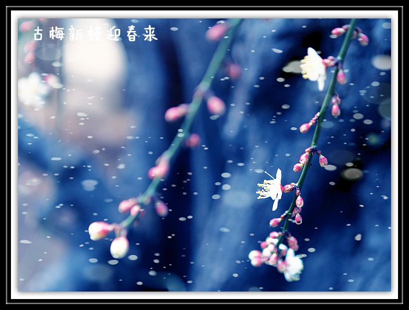 IMG_2630_副本800A.jpg