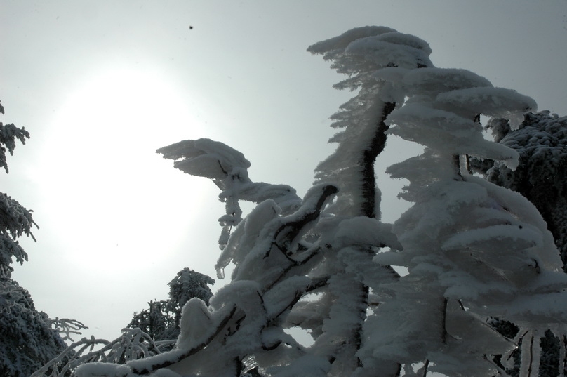 DSC_9065.jpg