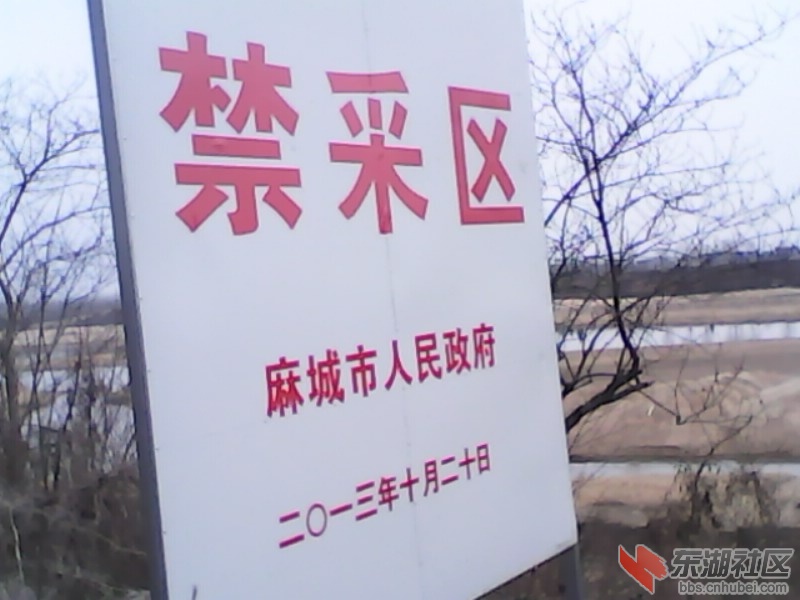 IMG0401A.jpg