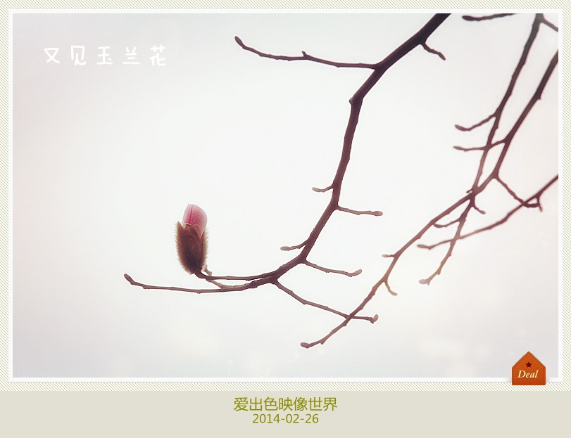 IMG_2340_副本800.jpg