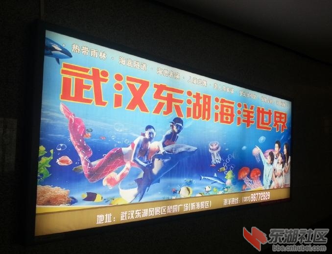 未命名10.JPG