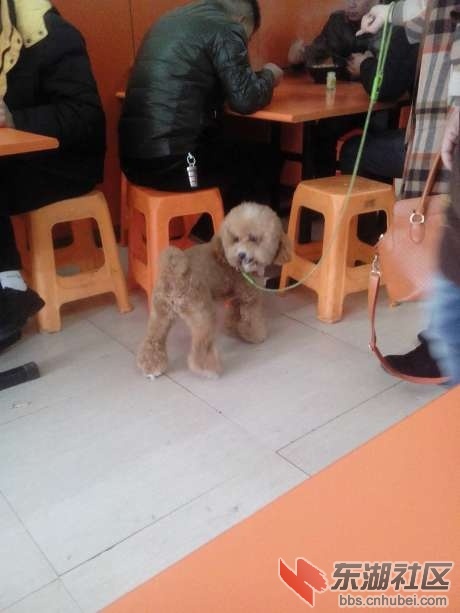 20140301110802917.jpg