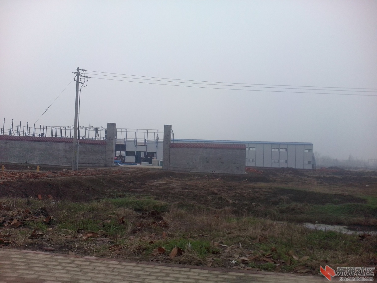 IMG20140303005.jpg