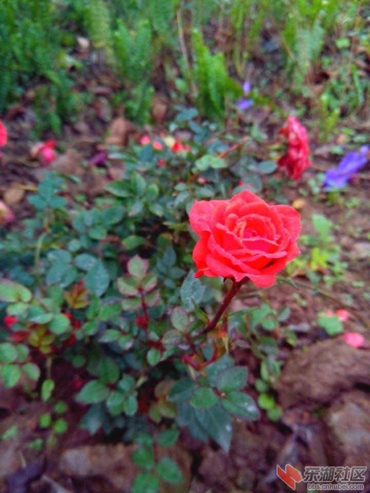 QQ图片20140303182718.jpg