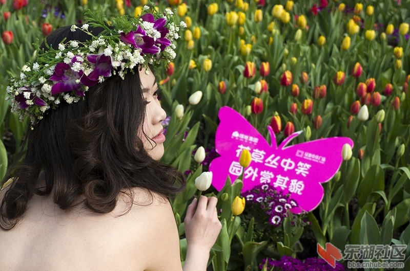 襄阳140308绿地花卉11.jpg