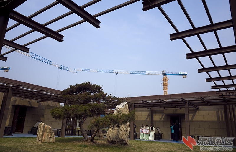 襄阳140308绿地花卉17.jpg