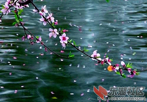 0004Xsepzy6HdufxddQ76&690\' alt=\'[1].jpg