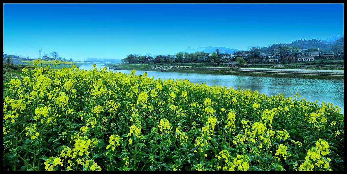 DSC_0016--再压.jpg