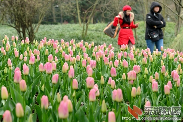 西湖4.jpg