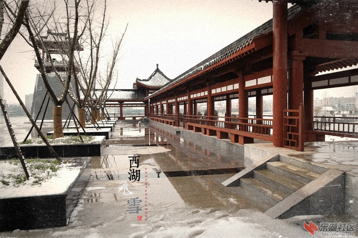 13365315dvuv0391d3c01n.jpg