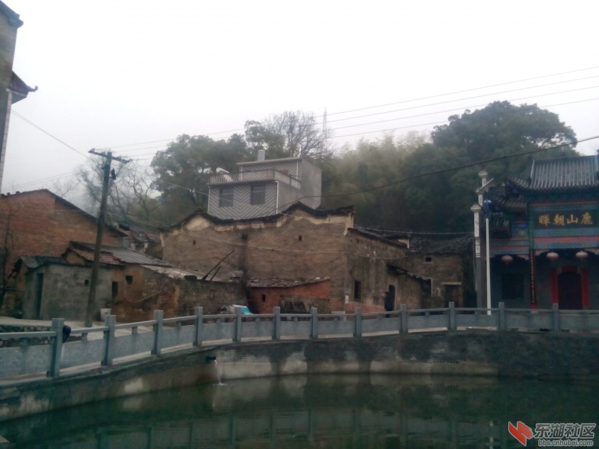 IMG_20140207_132130.jpg