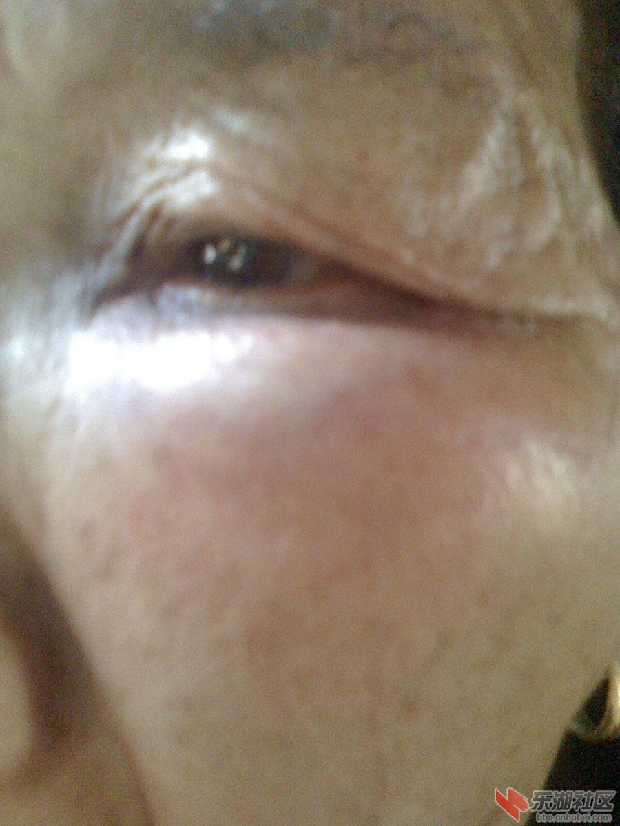 IMG0305121401.jpg
