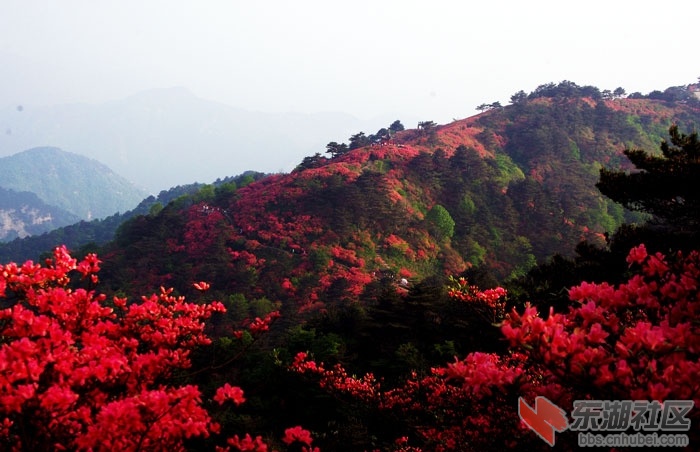 20110510123329672.jpg