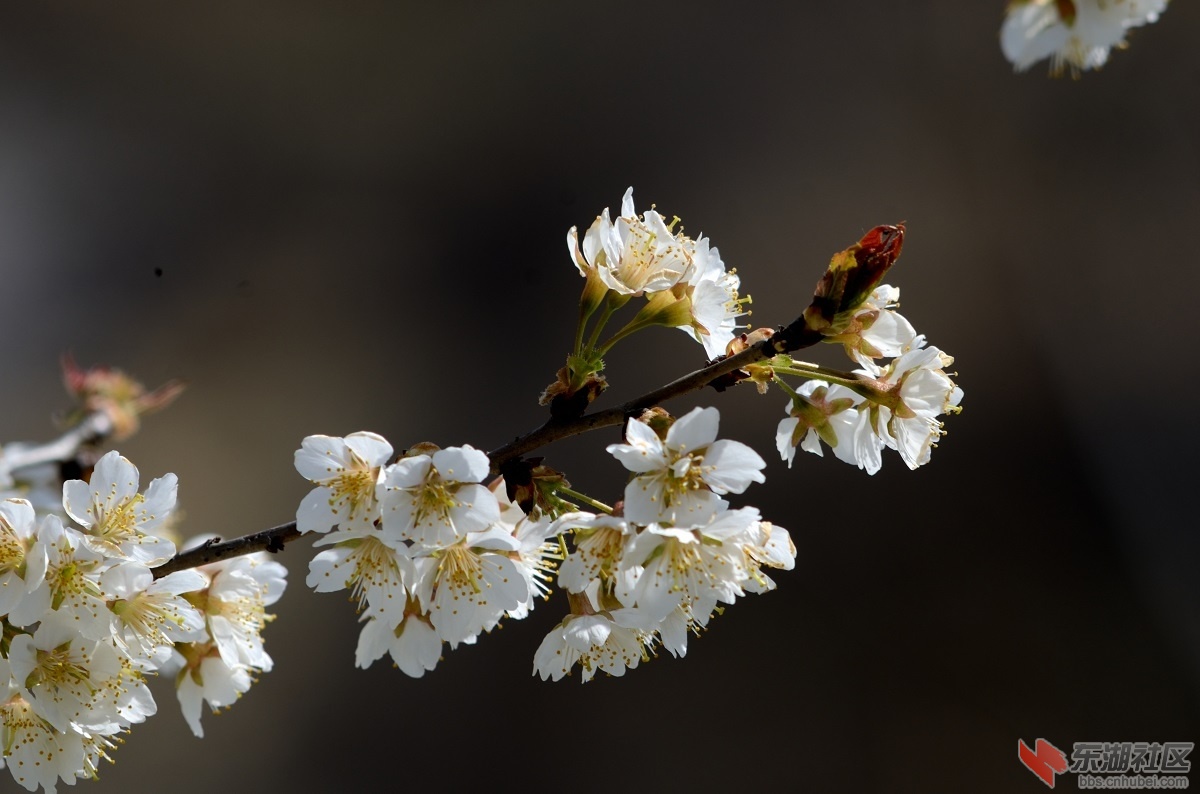 DSC_0720b.jpg
