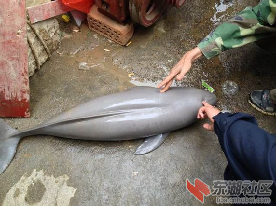 QQ截图20140319213228.png