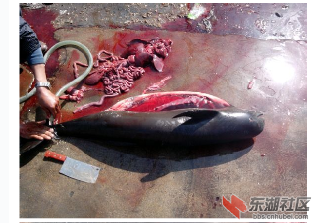 QQ截图20140320171922.png