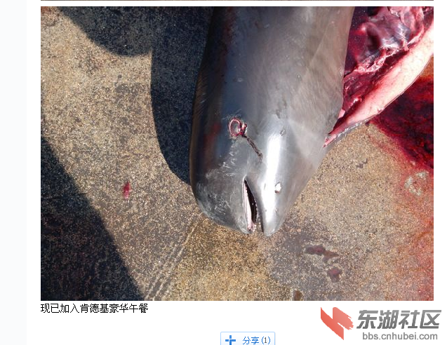 QQ截图20140320171941.png
