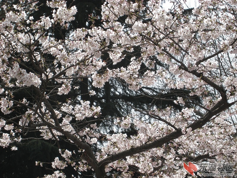 照片 037_副本.jpg