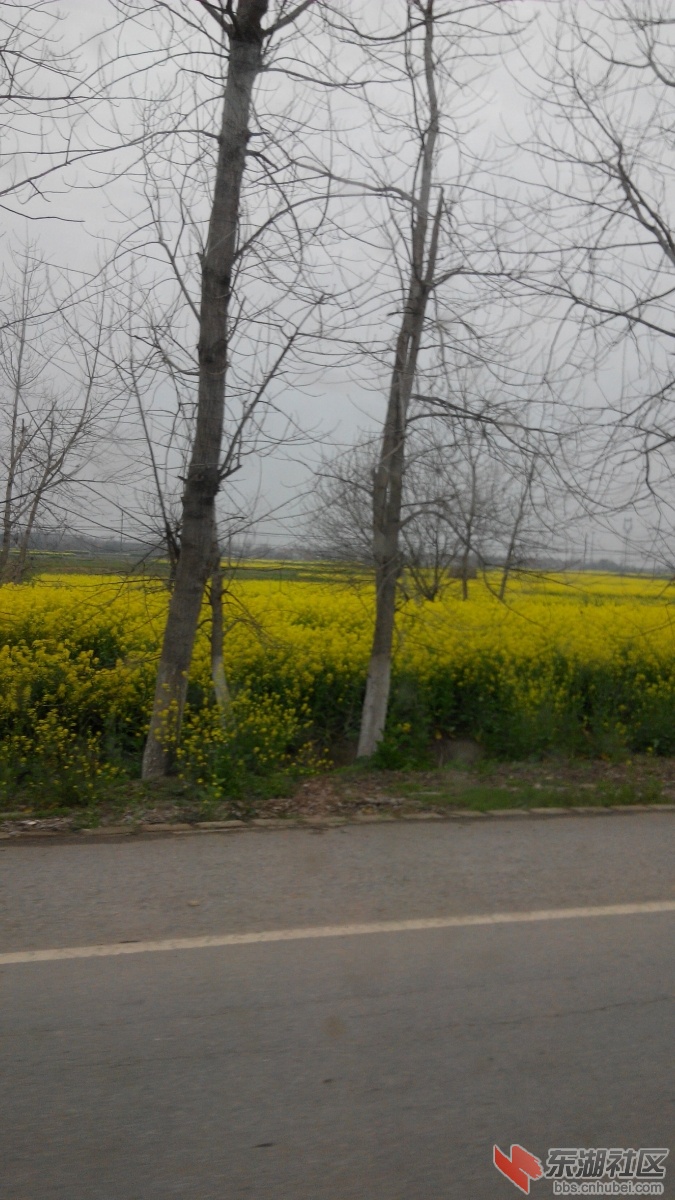 IMG_20140323_142706.jpg