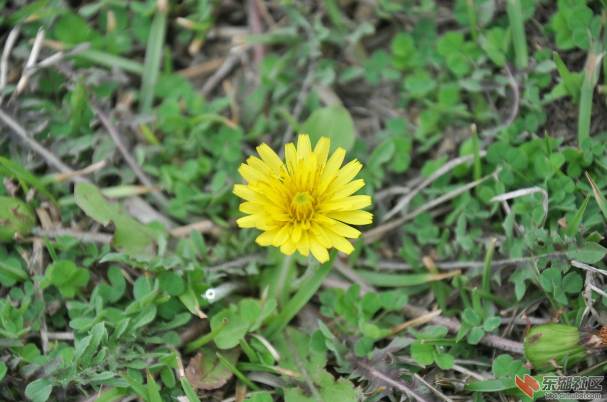 DSC_0162.JPG