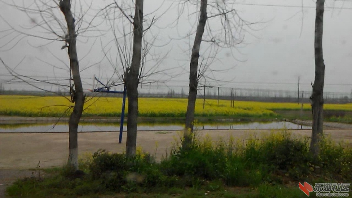 VID_20140323_142943_201432584846.JPG
