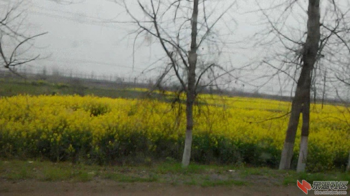 VID_20140323_142943_201432584920.JPG