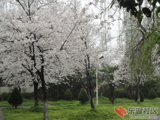 DSC04610.JPG