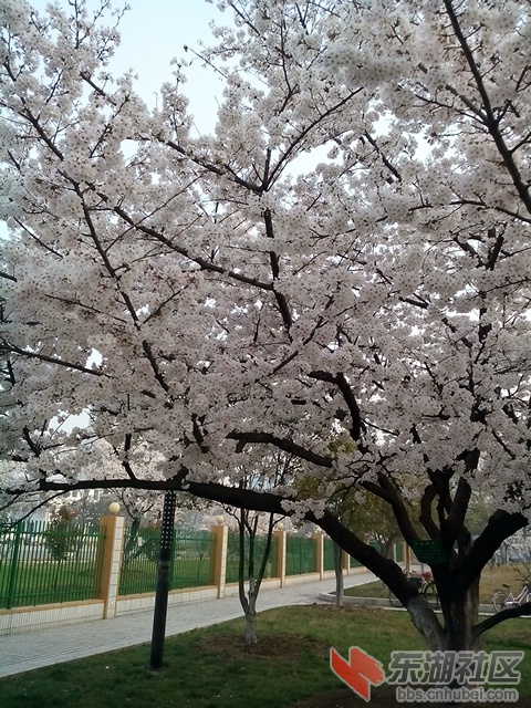 IMG_20140326_072030.jpg