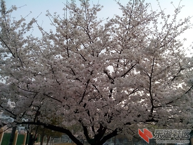 IMG_20140326_072345.jpg