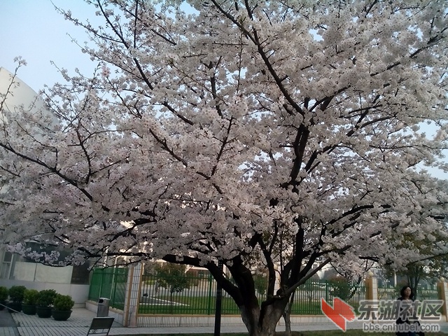 IMG_20140326_072358.jpg