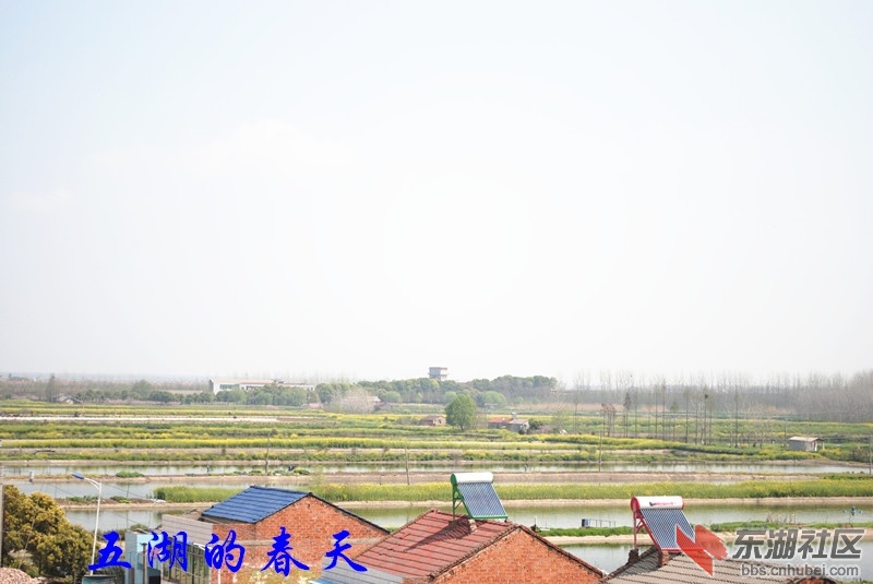03.jpg